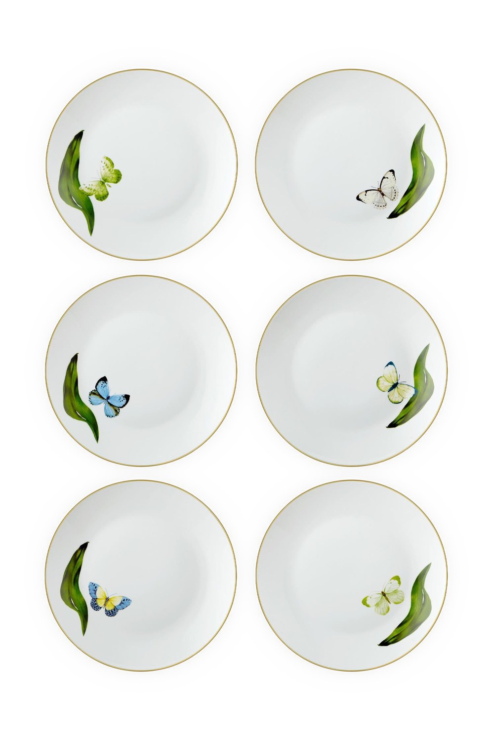 Folium Pasta Tabağı 6 Kişilik, 21 Cm - 4