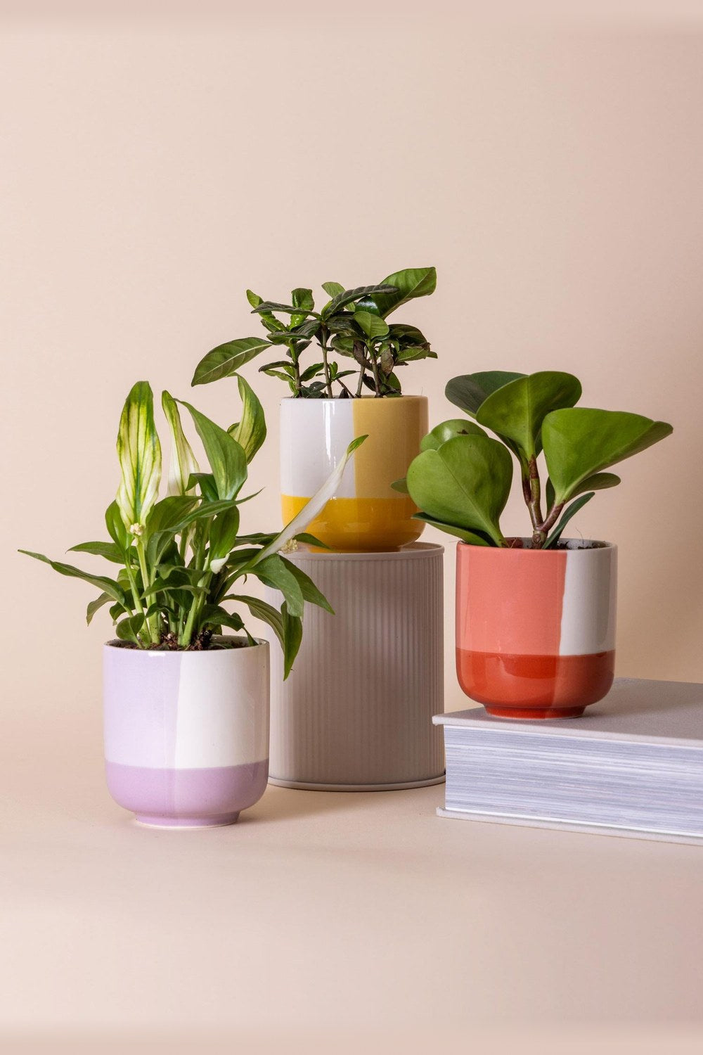 Porselen Saksı Pembe 9x10 Cm - 3
