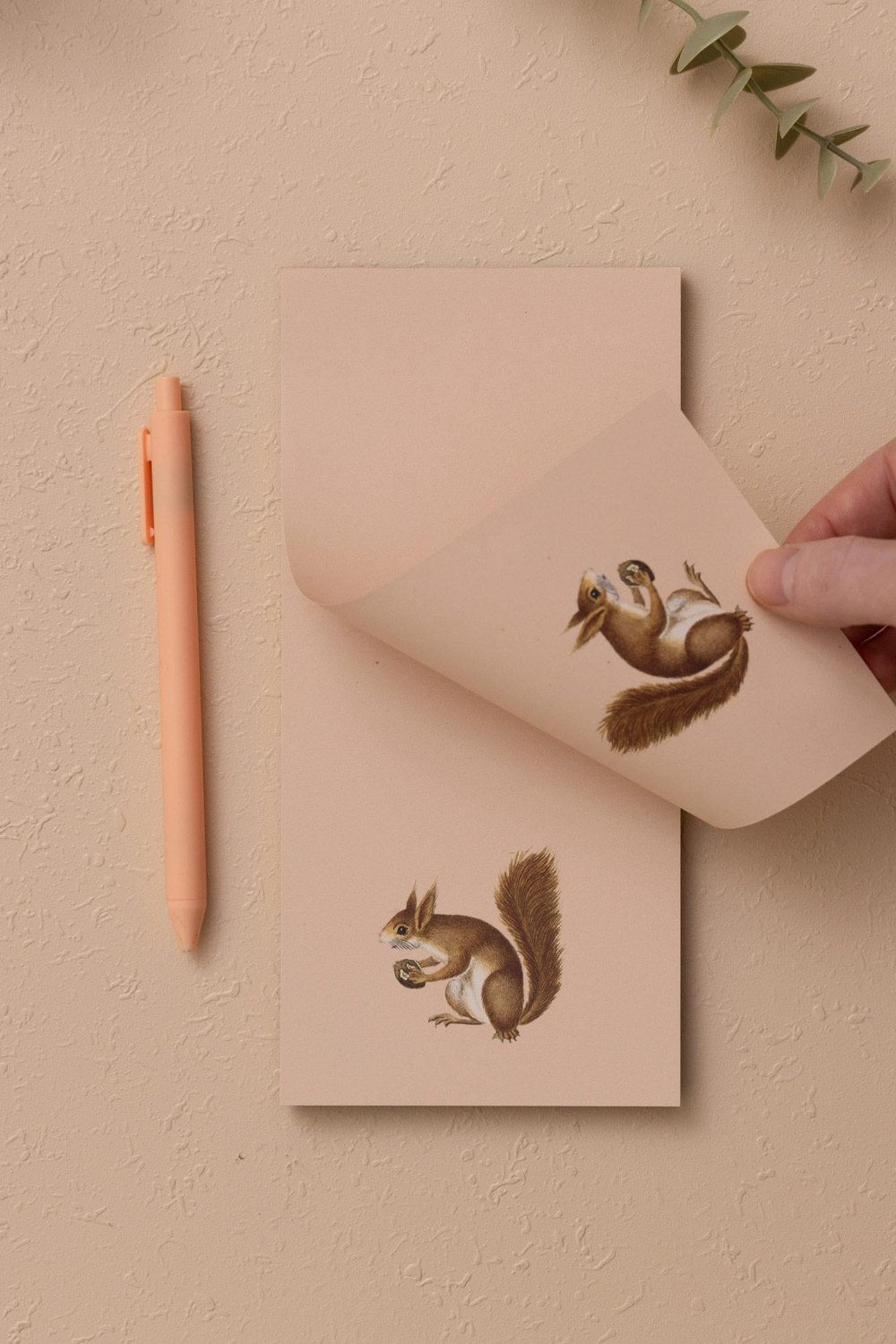Art Line Mini Notluk, Squirrel, 10 × 21 Cm, 40 Yaprak - 1