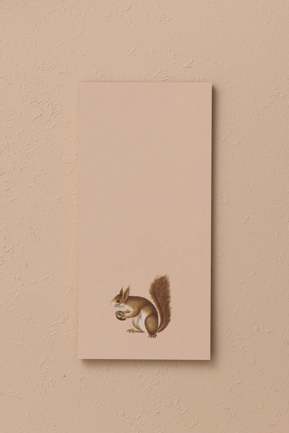 Art Line Mini Notluk, Squirrel, 10 × 21 Cm, 40 Yaprak - 2