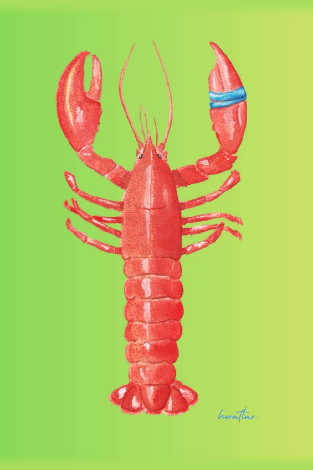 Hazal Türer - Lobster 3' Lü Set - 6