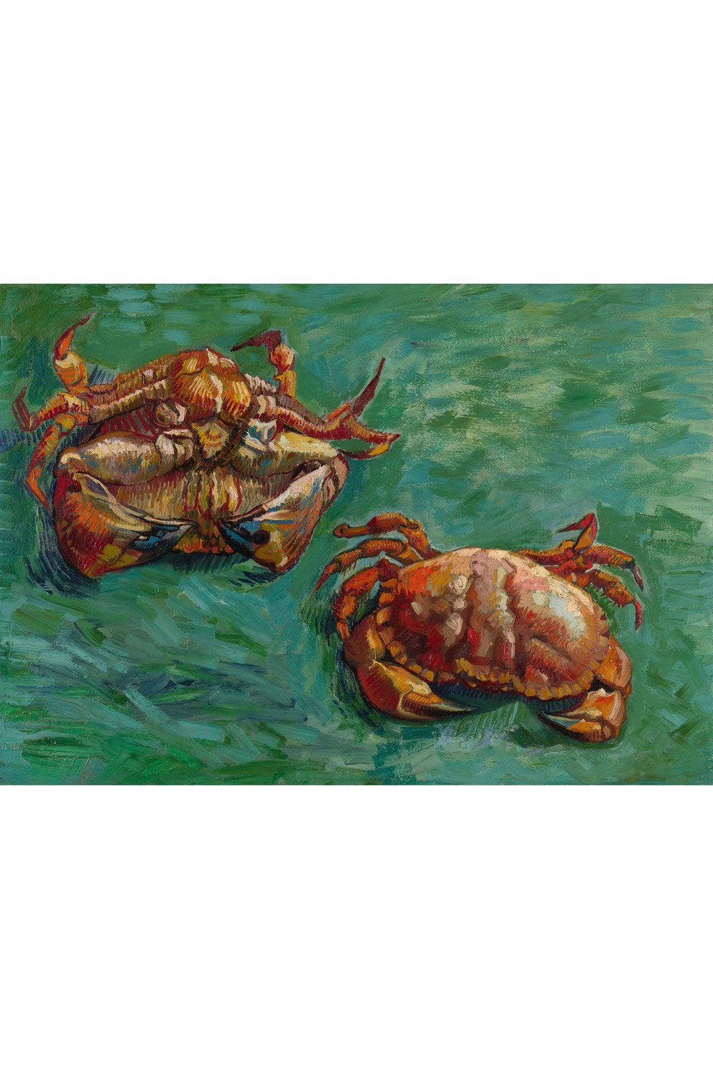 Vincent Van Gogh - İki Yengeç - 1