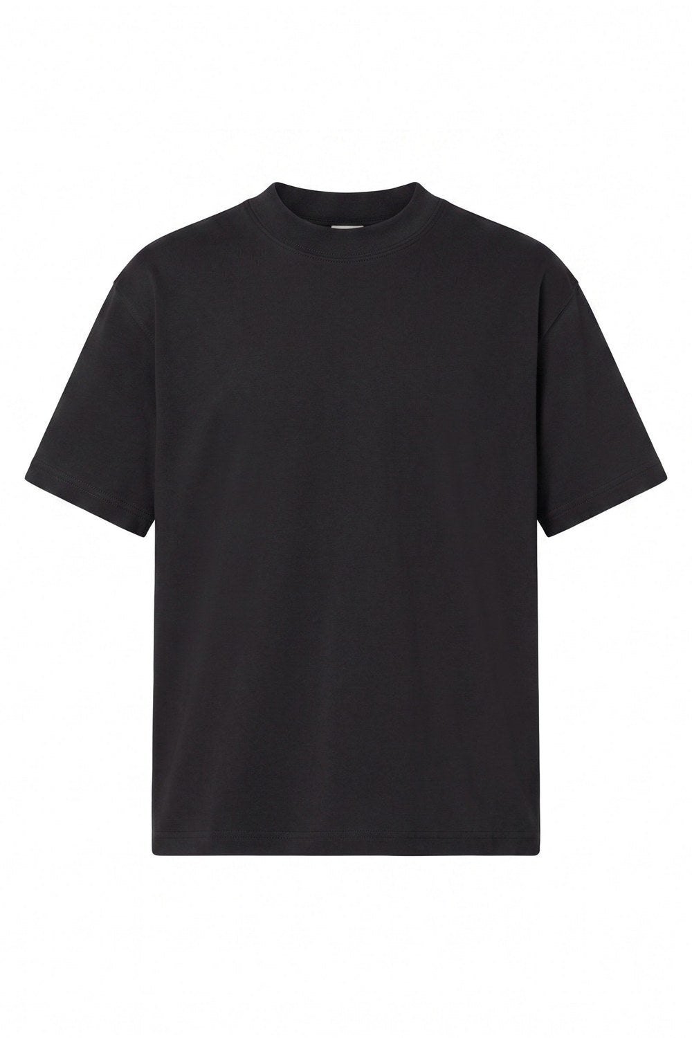 Organik Penye Basic Siyah Regular T-Shirt - 1