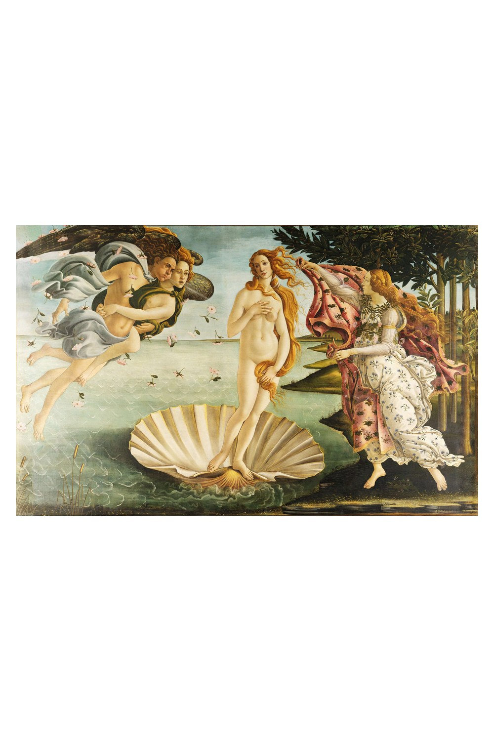 Sandro Botticelli - Venüs'ün Doğuşu - 4