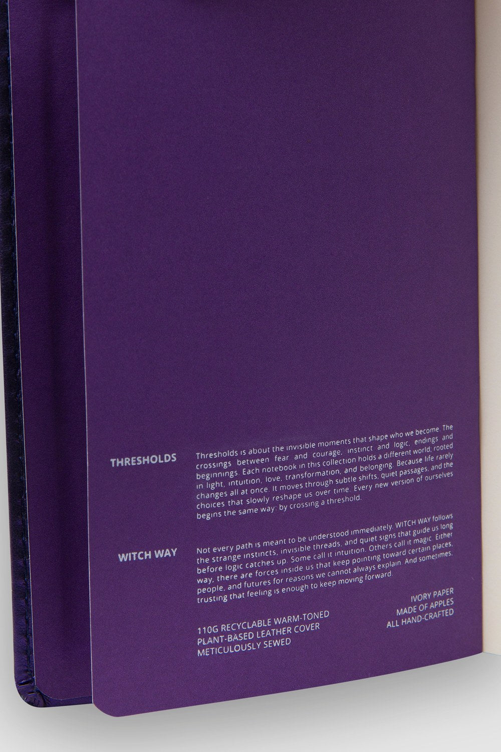 Witch Way Defter – A5 Elma Derisi Ciltli - 1