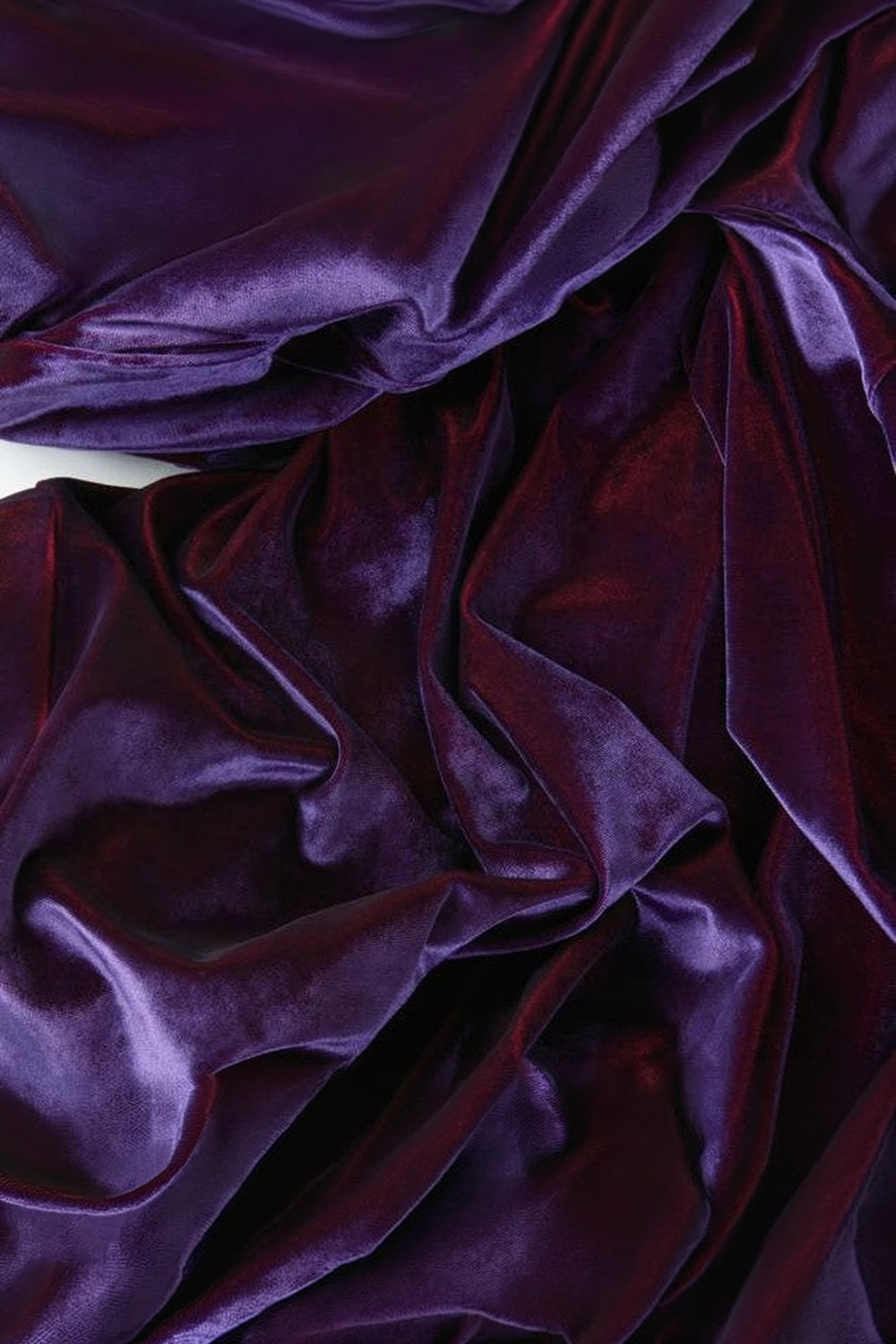 Young Suit Purple - 0