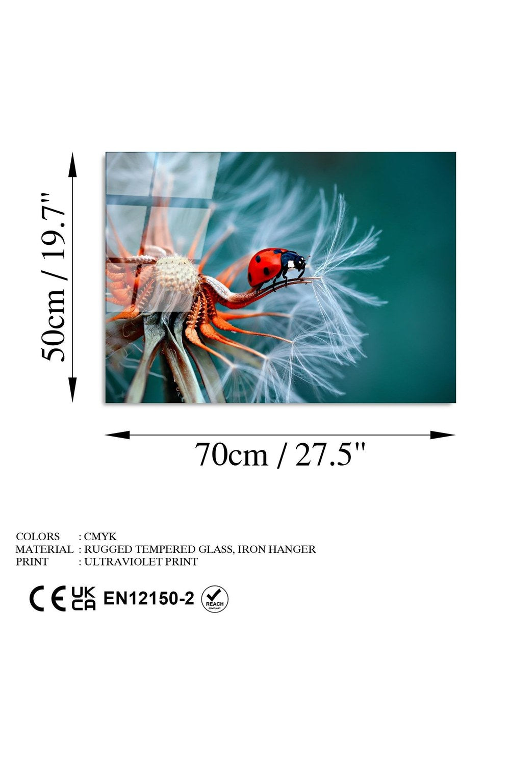 Uv-277 Baskılı Cam Dikdörtgen Duvar Tablosu - 7
