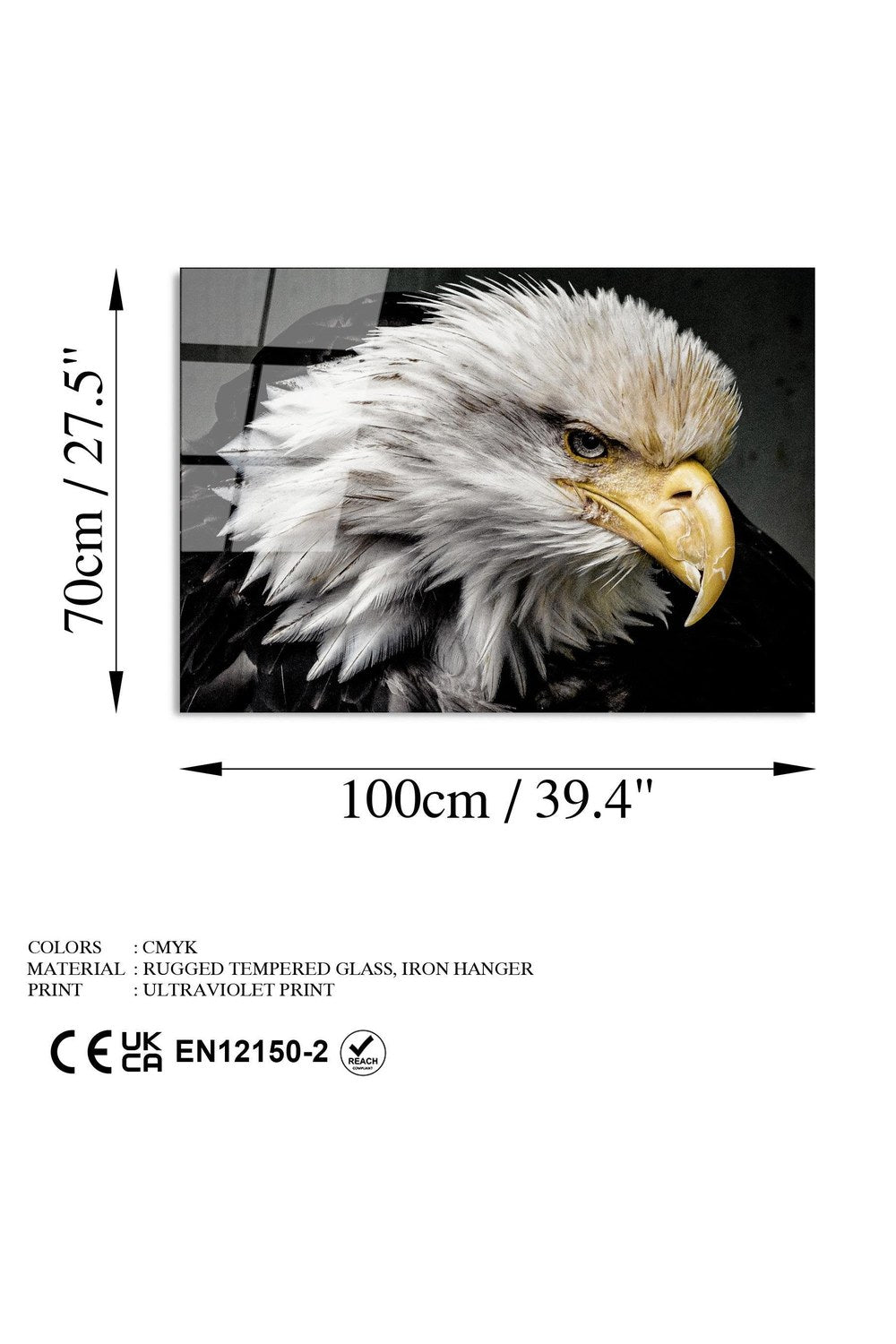 Uv-162 Baskılı Cam Dikdörtgen Duvar Tablosu - 7