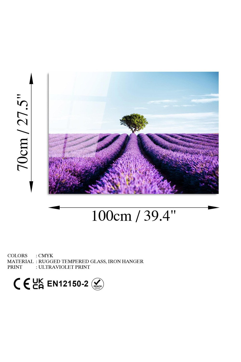 Uv-107 Baskılı Cam Dikdörtgen Duvar Tablosu - 7