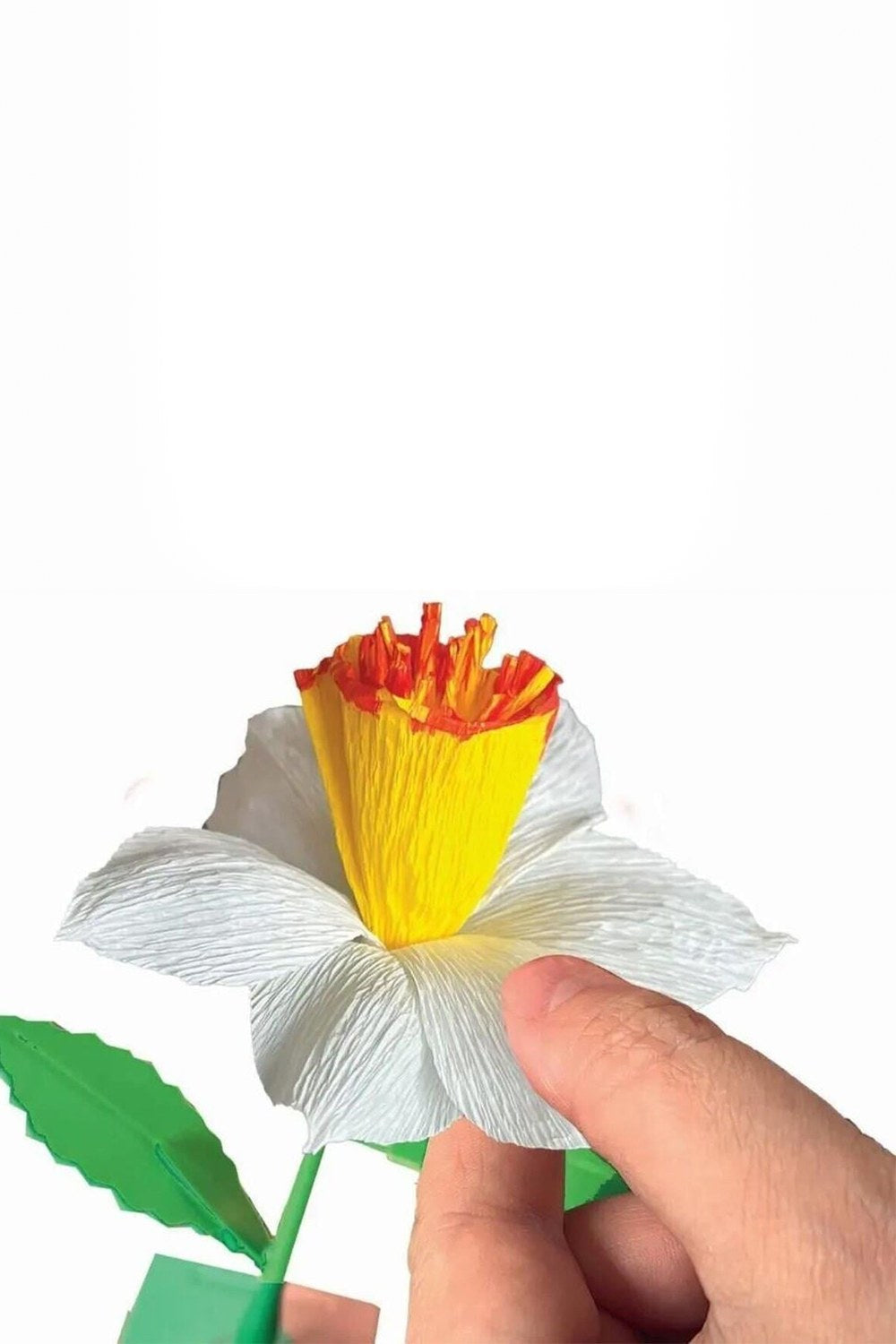 Idea Çiçek Tasarım Seti - Nergis - 2