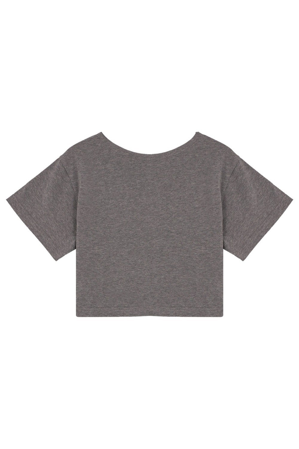 Crop T-Shirt - Gri - 2