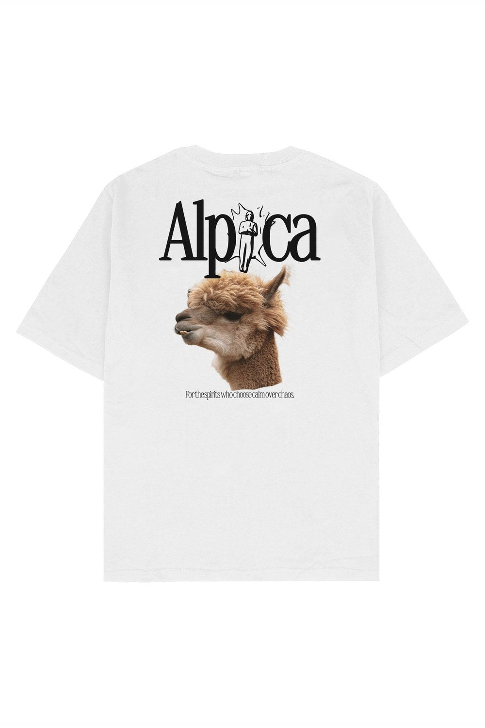 Alpaca Oversize Tişört - 0