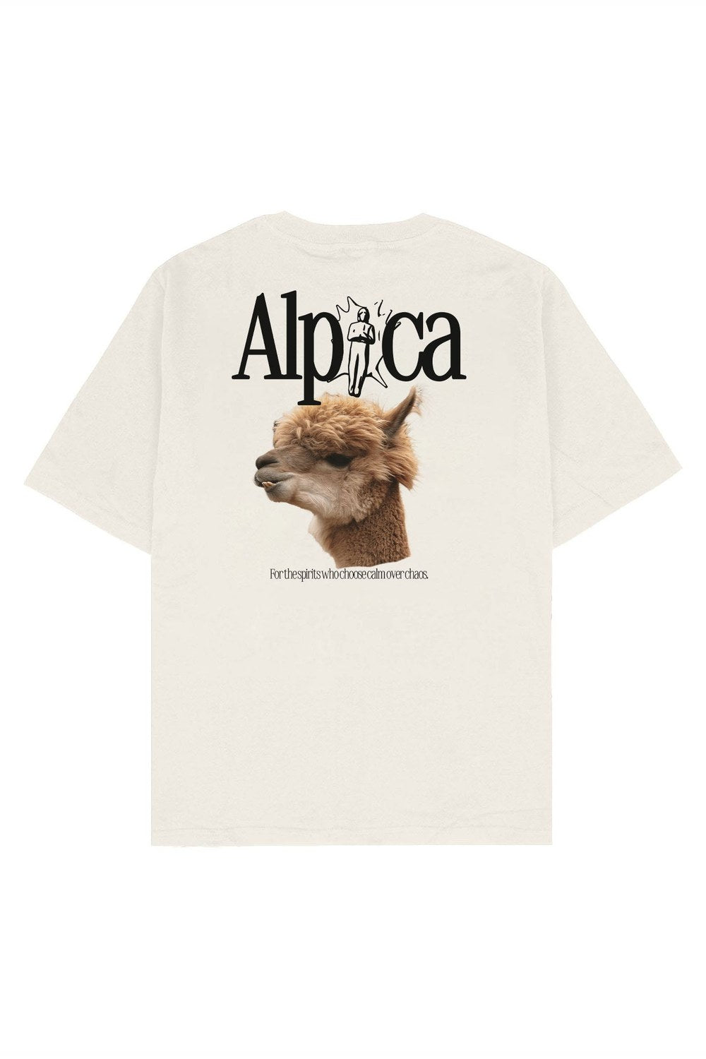 Alpaca Oversize Tişört - 2