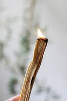 Natural Palo Santo Tütsü Ağacı 2 Li Set - 1