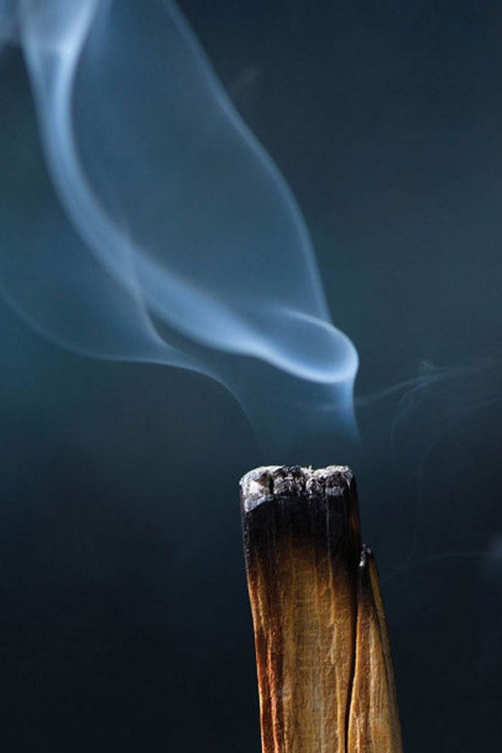 Natural Palo Santo Tütsü Ağacı 6 Lı Set - 2