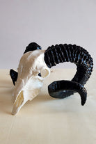 42A35 Home & Living-Gotik Koç Kafatası Dekoru-Heykel-2-roqelvaxirum.shop