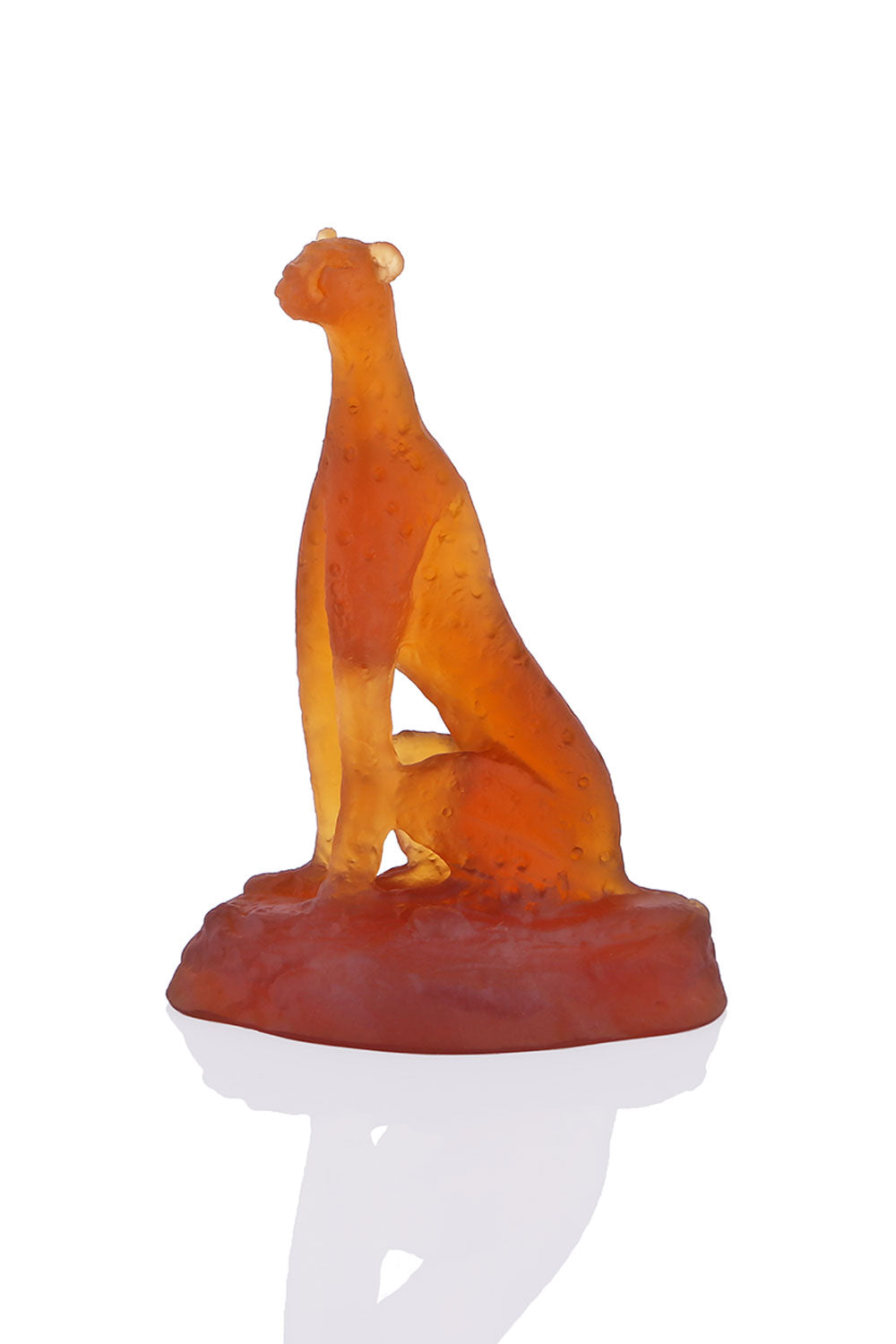 Accract-Dekoratif Obje-Biblo-1-roqelvaxirum.shop