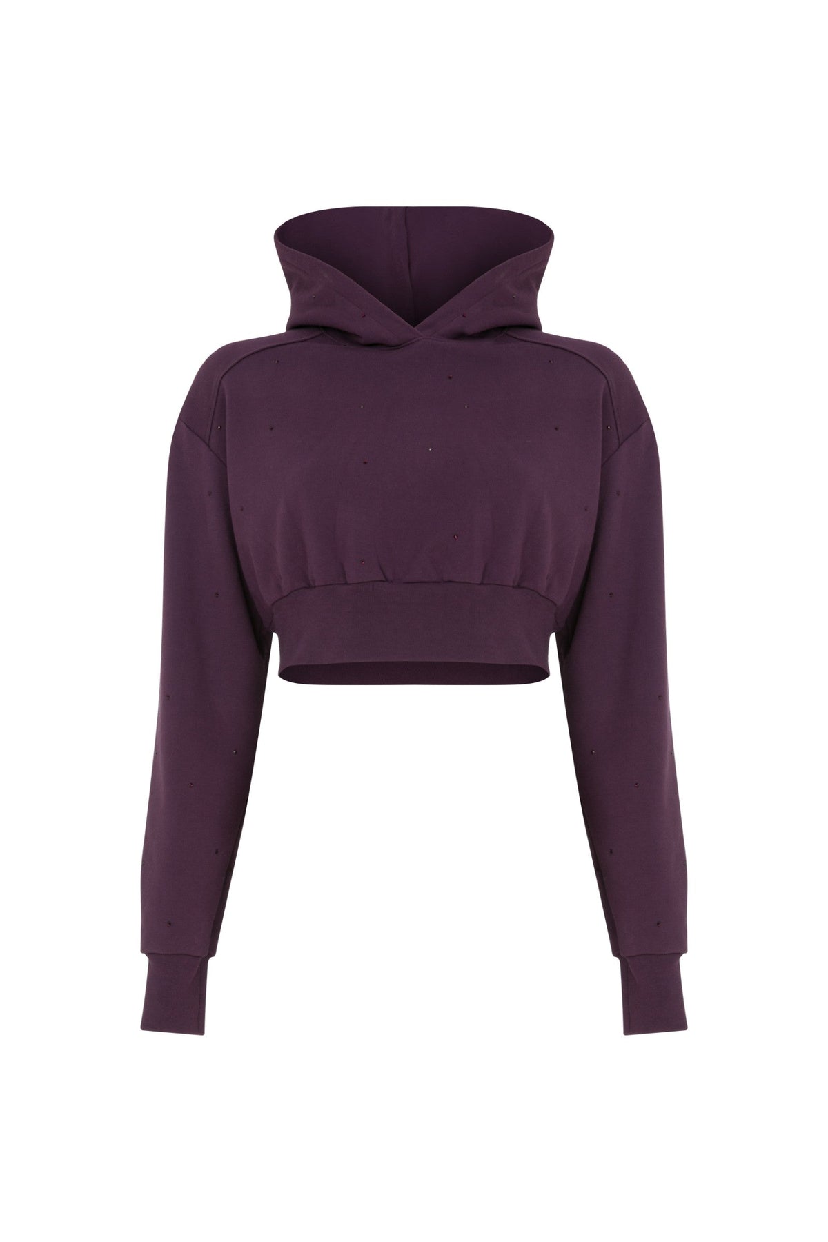Ace Nayman-Felix Rhinestone Cropped Hoodie-Sweatshirts & Hoodies-2-roqelvaxirum.shop