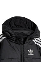 Adidas-Adicolor Padded Jacket-Mont-3-roqelvaxirum.shop