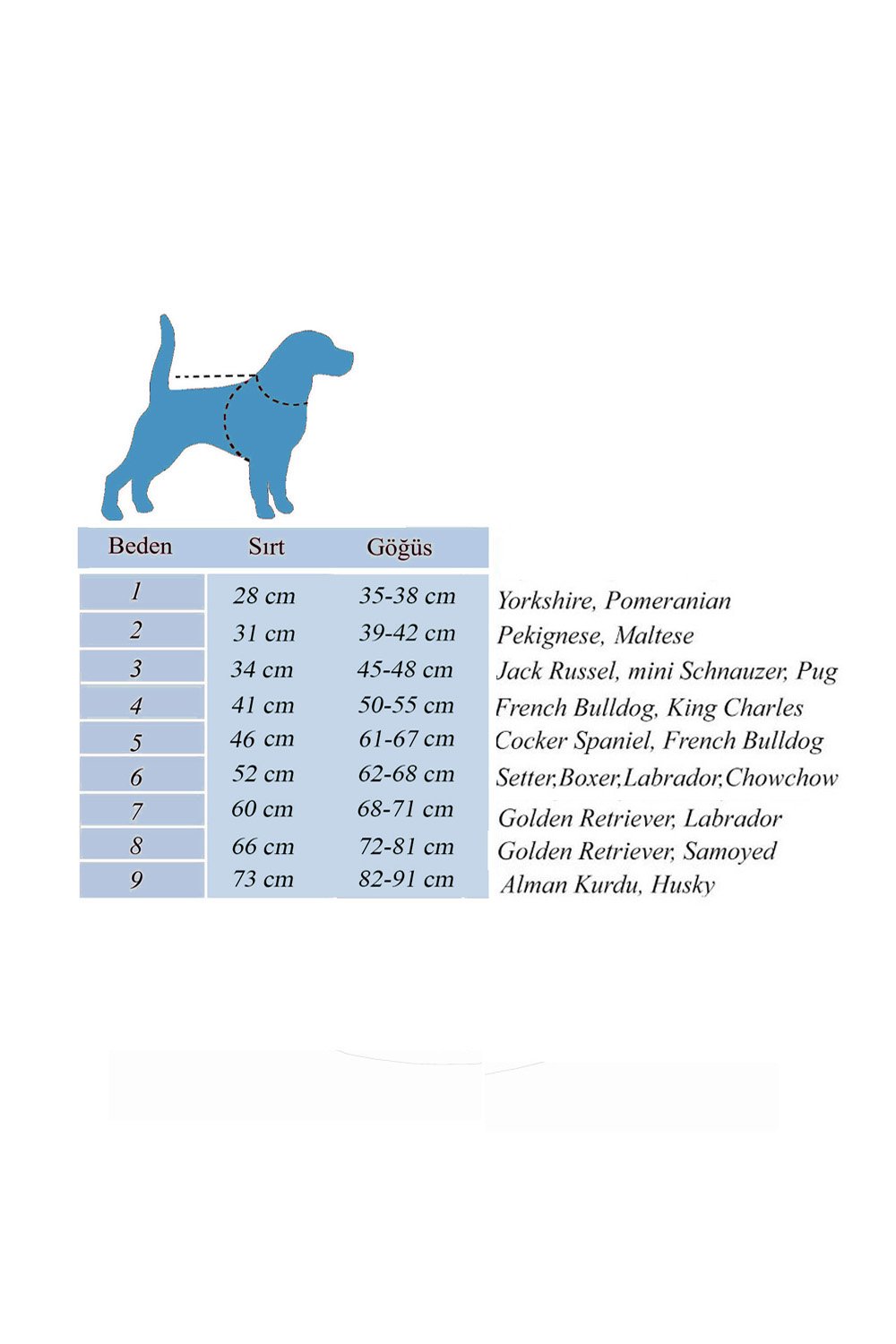 Alphadog Design-Alpha Wine Pet Yağmurluk-Köpek-3-roqelvaxirum.shop