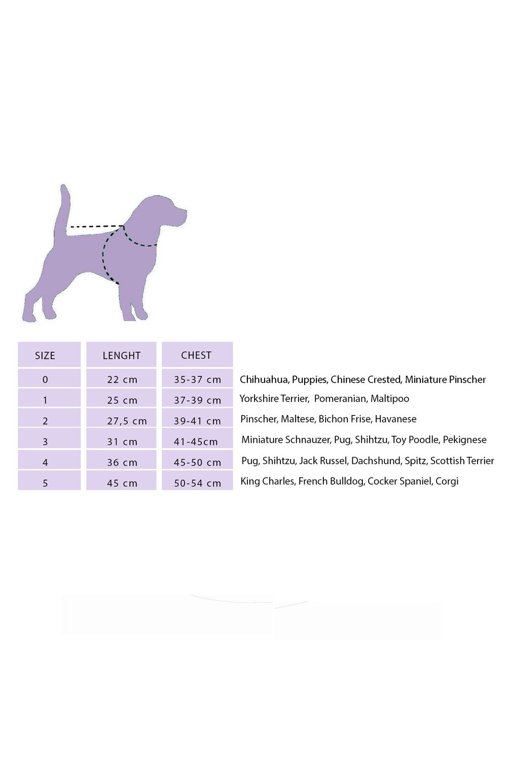 Alphadog Design-Heaven Blue Pet Kazak-Kedi-3-roqelvaxirum.shop