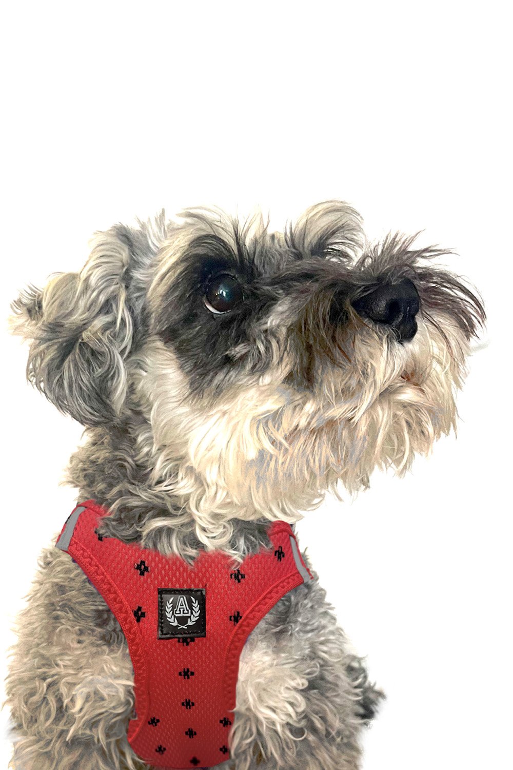 Alphadog Design-Positive Air Mesh Harness Göğüs Tasması-Köpek-4-roqelvaxirum.shop