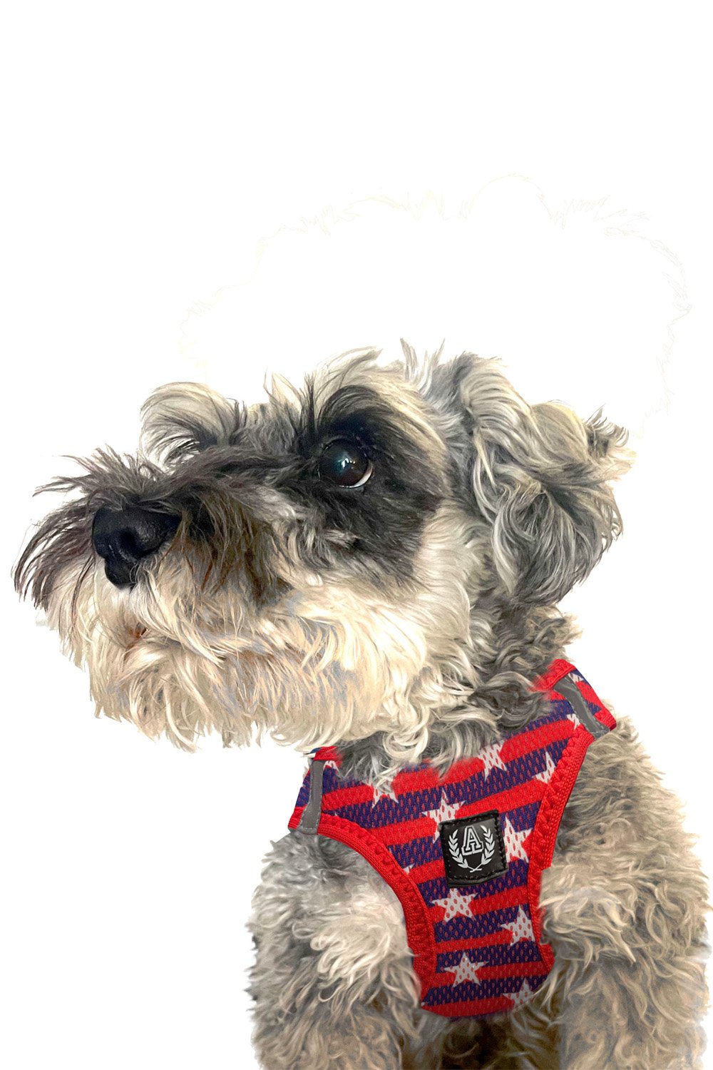 Alphadog Design-Stars Air Mesh Harness Göğüs Tasması-Köpek-3-roqelvaxirum.shop