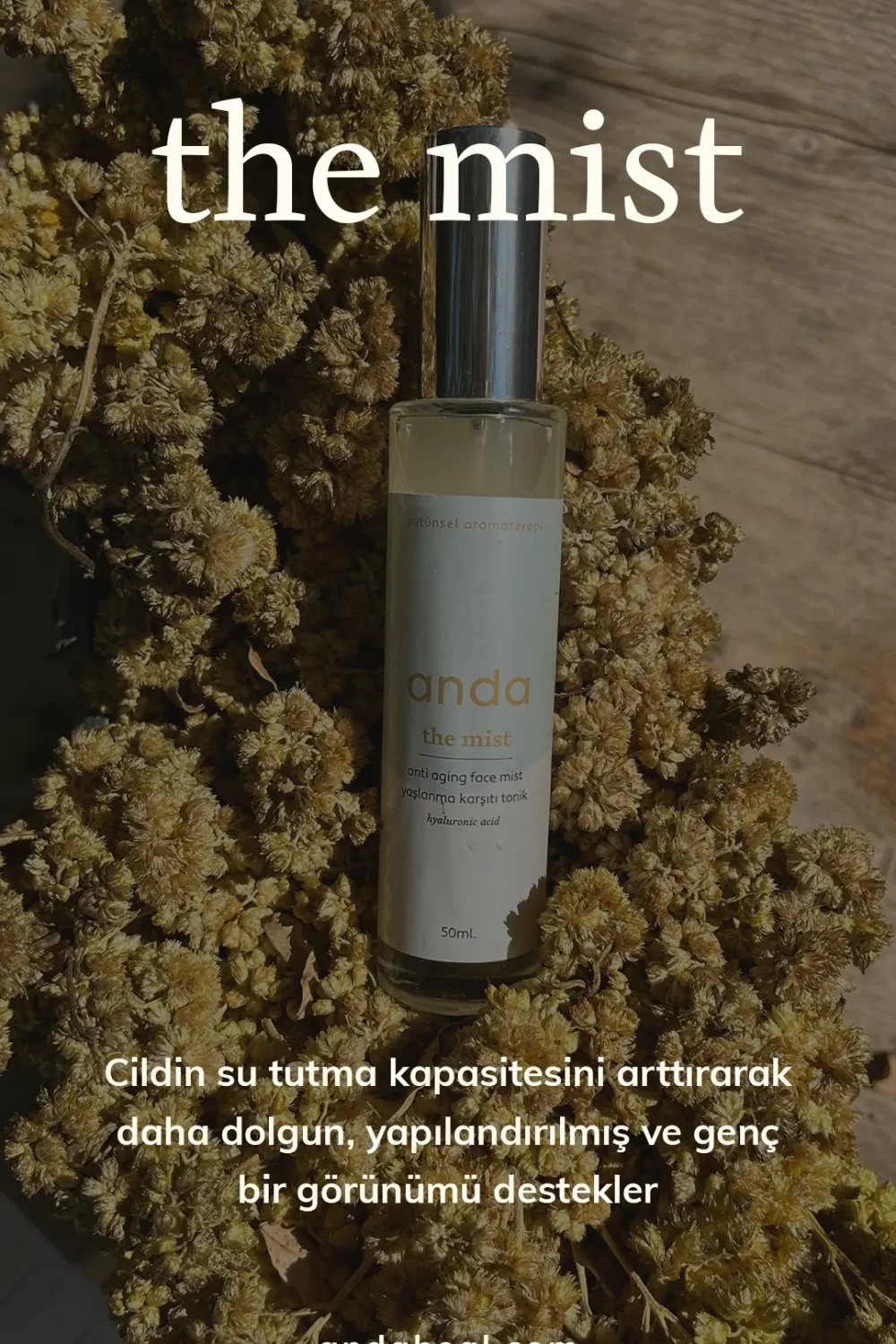 Anda Heal-The Mist - Hyaluronic Acid Tonik-Tonik-4-roqelvaxirum.shop