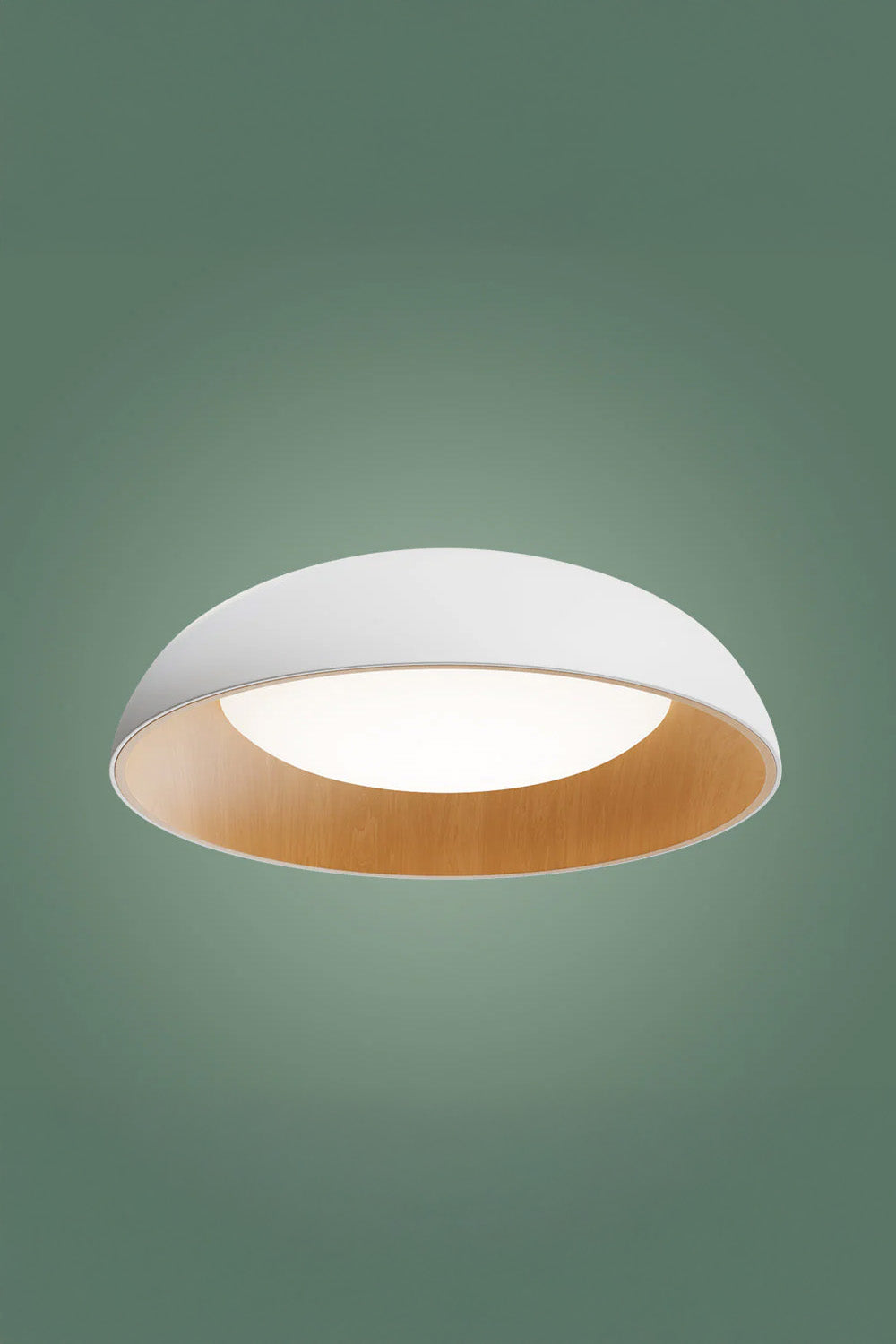 Atolye Store-Roof Plafonyer Ova-Avize-2-roqelvaxirum.shop