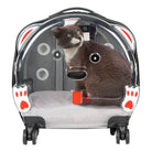 Bloominbag-Paw Buddy Clear Travel Mate– Gri Ve şeffaf Tekerlekli Lüks Evcil Hayvan Taşıma çantası-1-roqelvaxirum.shop
