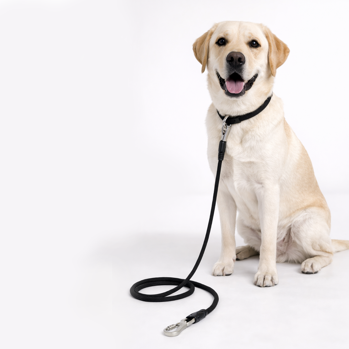 Polypropylene Rope Leash - 8Mm/150Cm