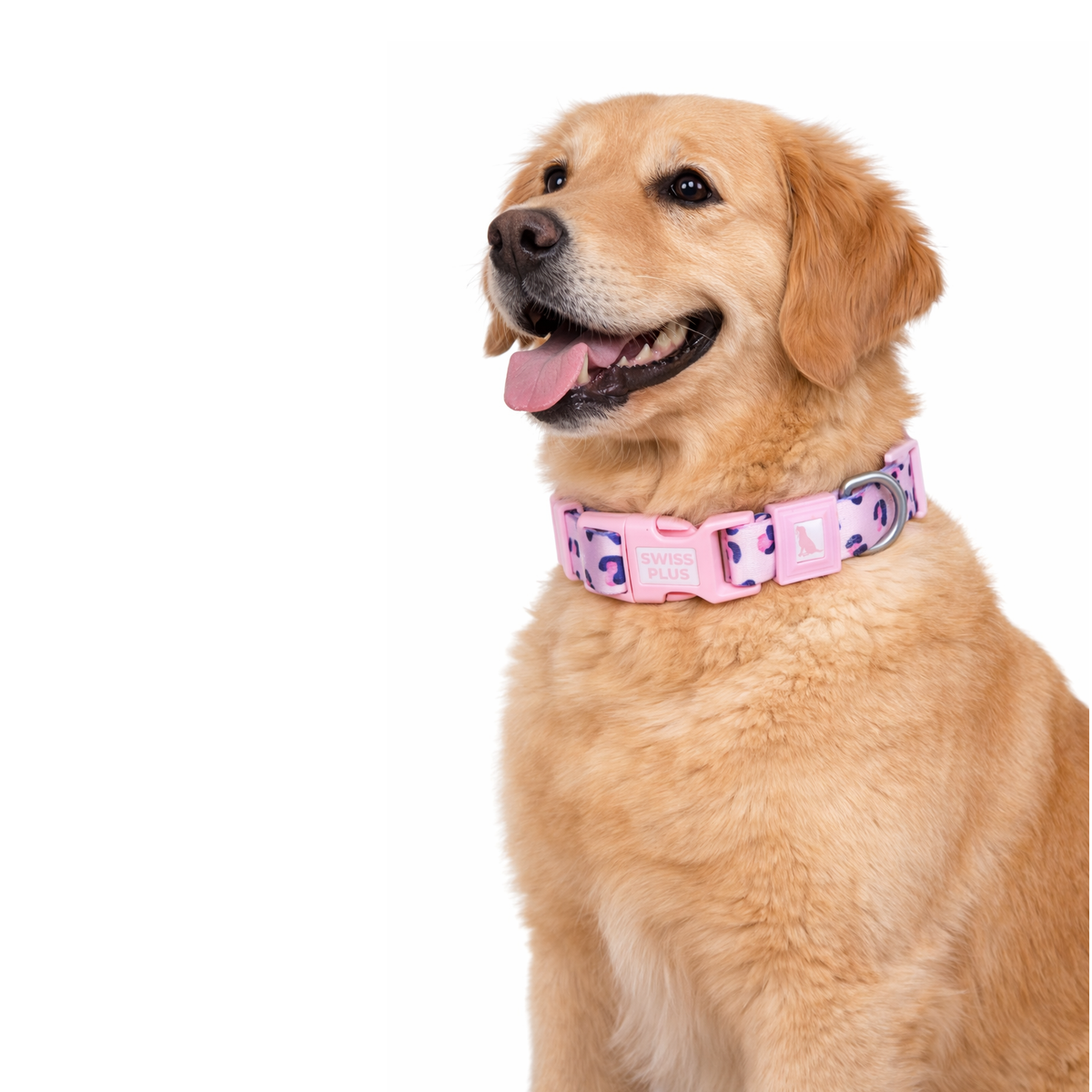 Swissplus Urban Paws Pink Leo Recycled Köpek Tasması - 15 Mm