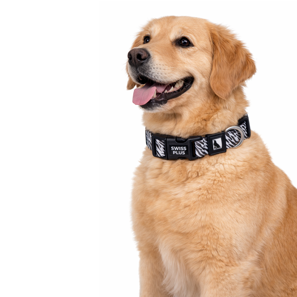Swissplus Urban Paws Zebra Noir Recycled Köpek Tasması - 10 Mm