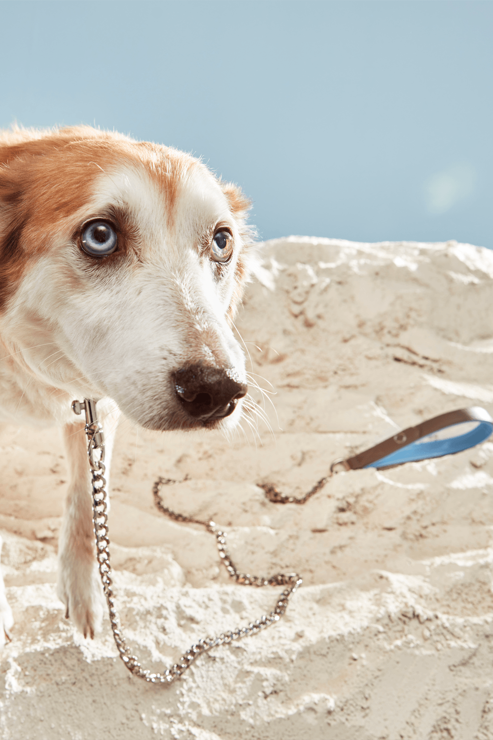 Bonabag-Chain Leash Rock & Wave-Köpek-2-roqelvaxirum.shop