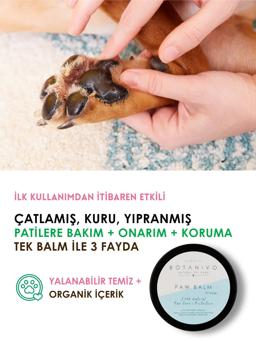 Botanivo-Botanivo Köpekler İçin Pati Bakım + Onarım + Koruma Balmı | Organik İçerikli | 30 Ml-Köpek-3-roqelvaxirum.shop