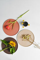 Casi Paped-Pure Color - Yemek Tabağı / Granül-Tabak & Kase-3-roqelvaxirum.shop