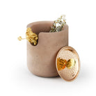 Coho Objet-Coho Box Therapy Terra Tütsülük & üzerlik & Adaçayı & Lavanta Hediye Seti-Hediye Setleri-5-roqelvaxirum.shop