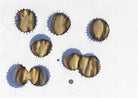 Diamine-Diamine Ink Shimmering Mürekkep Shimmering Seas-Mürekkep-4-roqelvaxirum.shop