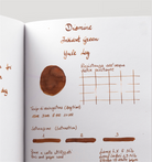 Diamine-Diamine Inkvent Green Edition Shimmer Collection şişe Mürekkep 50ml Yule Log-Mürekkep-4-roqelvaxirum.shop