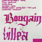 Diamine-Flower Collection 30 Ml Mürekkep Bougainvillea-Şişe Mürekkep-2-roqelvaxirum.shop