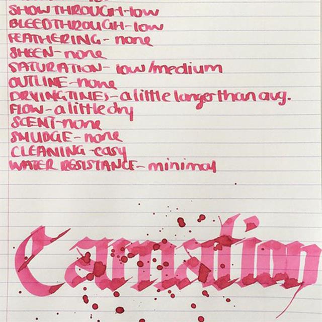 Diamine-Flower Collection 30 Ml Mürekkep Carnation-Şişe Mürekkep-2-roqelvaxirum.shop
