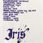 Diamine-Flower Collection 30 Ml Mürekkep Iris-Şişe Mürekkep-2-roqelvaxirum.shop