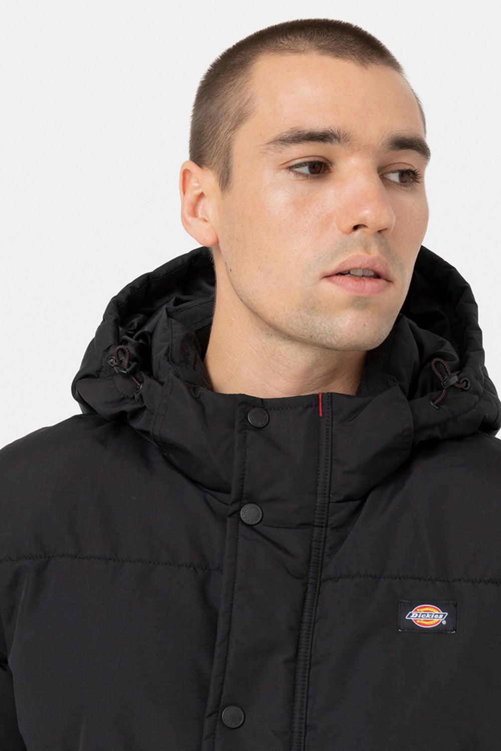 Dickies-Glacier View Puffer Black-Mont-3-roqelvaxirum.shop