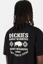 Dickies-Hays Tee SS Black-T-Shirts-8-roqelvaxirum.shop