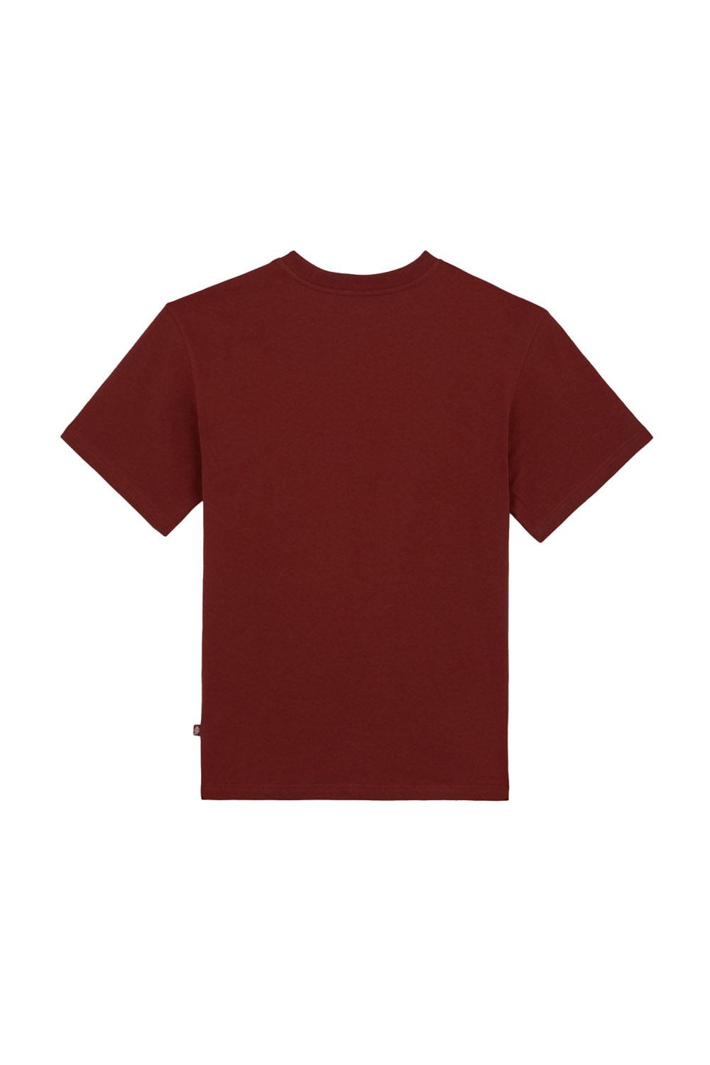Dickies-Luray Pocket Tee SS Fired Brick-T-Shirts-6-roqelvaxirum.shop