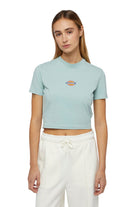 Dickies-Maple Valley Tee Blue Surf-T-Shirts-1-roqelvaxirum.shop
