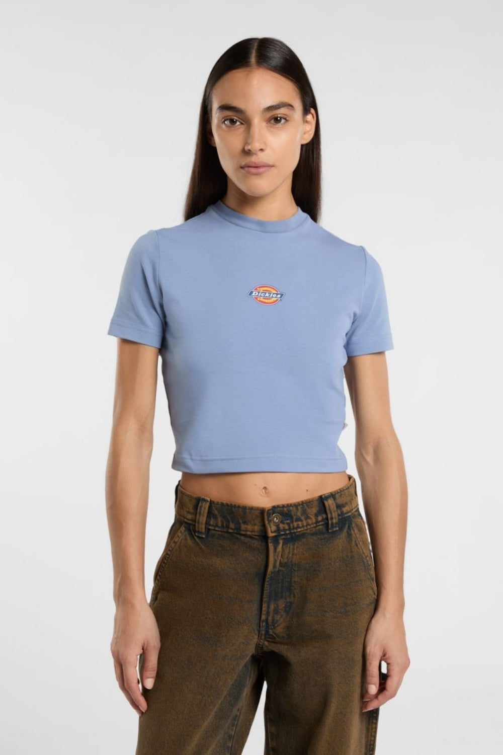 Dickies-Maple Valley Tee Country Blue-T-Shirts-1-roqelvaxirum.shop