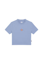 Dickies-Maple Valley Tee Country Blue-T-Shirts-5-roqelvaxirum.shop