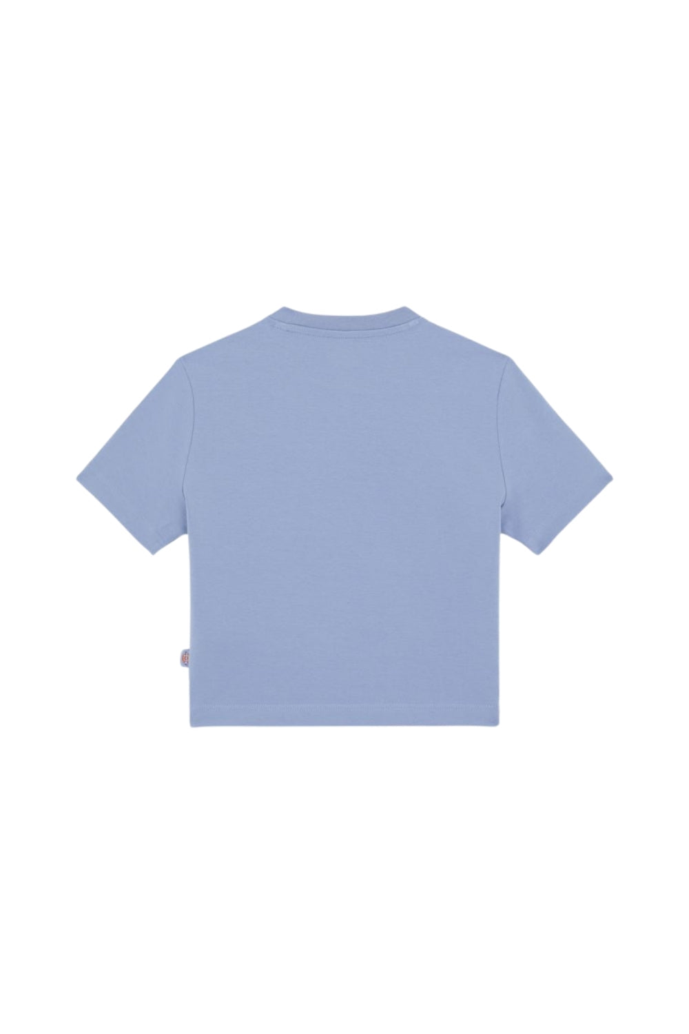 Dickies-Maple Valley Tee Country Blue-T-Shirts-6-roqelvaxirum.shop