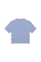 Dickies-Maple Valley Tee Country Blue-T-Shirts-6-roqelvaxirum.shop
